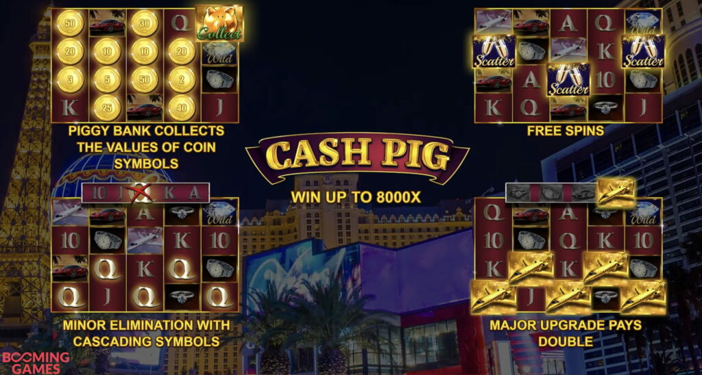 Cash Pig