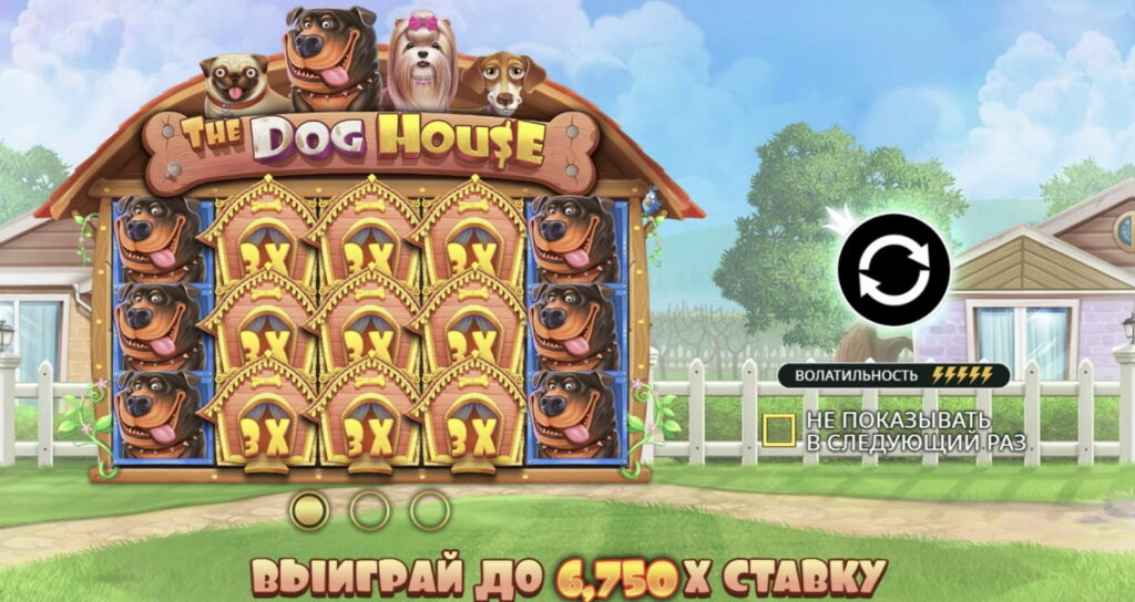 The Dog House